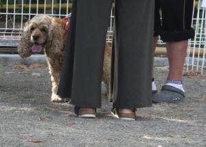 2015_05315-31ameしつけ