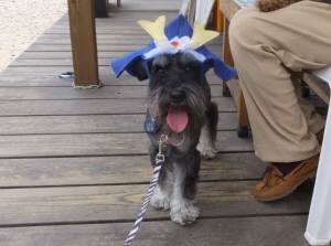 2015_05085-7ケルン兜