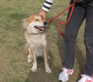 2015_05115-11のんちゃん