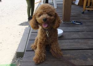 2015_05315-31もなか