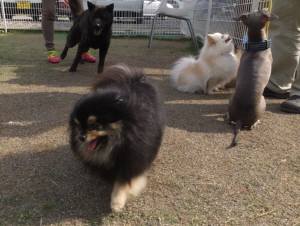 2015_05065-6マリア