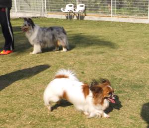 2015_05025-2くぅちゃん