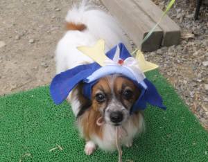 2015_05095-8くうちゃん