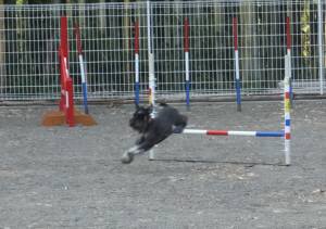 2015_05085-7ケルン２