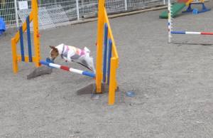 2015_05065-6リンコ２