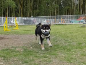 2015_05295-29晴ちゃん