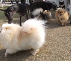 2015_05065-6みんな１