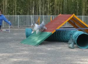 2015_05175-17アイル