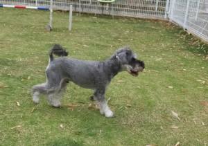 2015_05195-19まめ２