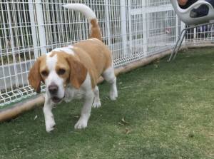 2015_05065-6ムサシ