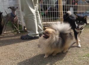 2015_05065-6みんな２