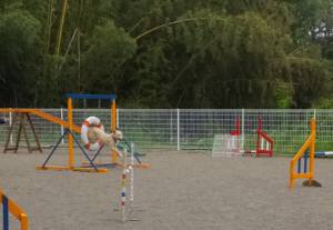 2015_05045-4なっつ