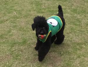 2015_05185-18モグちゃん