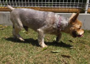 2015_05025-2しんじ君