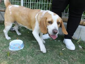 2015_05175-17ムサシ