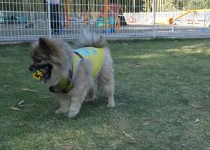 2015_05055-5ポンちゃん