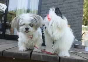 2015_05175-17らんがく２