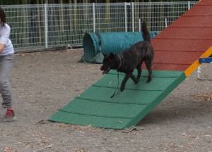 2015_05315-31さくら