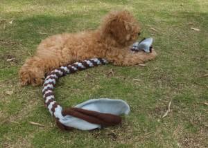 2015_05195-19なつめ２