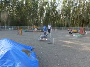 2015_05085-7アイル２