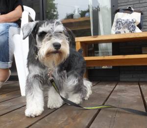 2015_05295-29ライザ