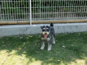 2015_05265-25まるちゃん