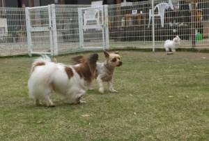 2015_05095-8しんじくん