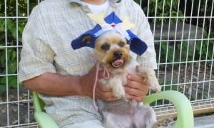 2015_05045-4しんじくん