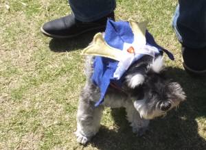 2015_05055-5モグ兜