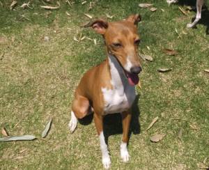 2015_05175-17リサリサ