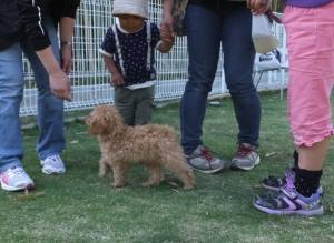 2015_05055-5なつめ２