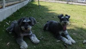 2015_05265-25めーまる