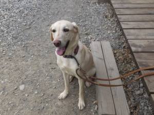 2015_05155-15なっつ