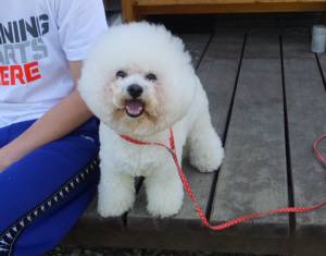 2015_05025-2アムル