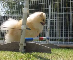 2015_05025-2ミルキー