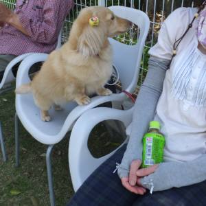 2015_05025-2はなちゃん