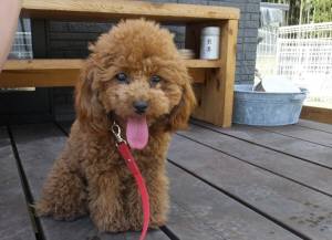 2015_05315-31ここあ