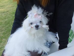 2015_05014-23ガクちゃん