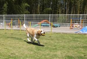 2015_05305-30むさし