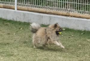 2015_05125-12ポンキチくん