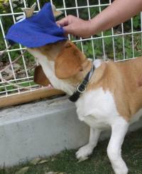 2015_05085-7むさし２