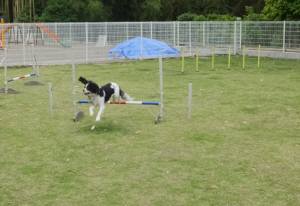 2015_05295-29あられジャンプ