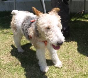 2015_05175-17えるさ