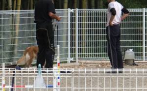 2015_05185-18しつけ