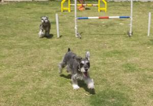 2015_05315-31メイシェリー