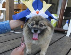 2015_05055-5ポン２