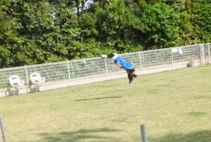 2015_05045-4テト２