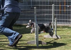 2015_05055-5モグジャンプ