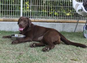 2015_05014-23ララ２