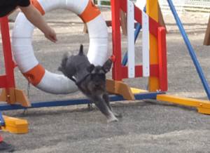 2015_05175-17ケルン